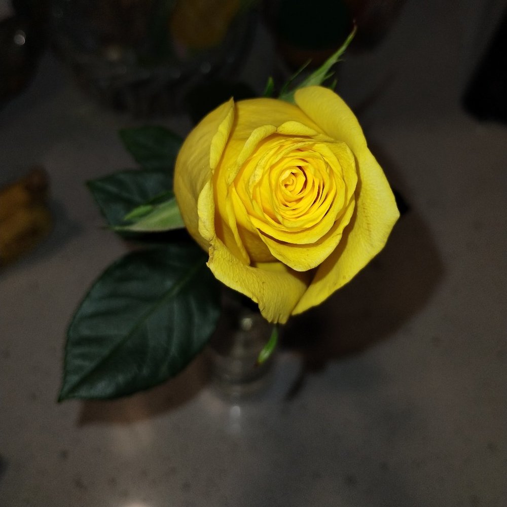 Meet your Posher, Jay Kay